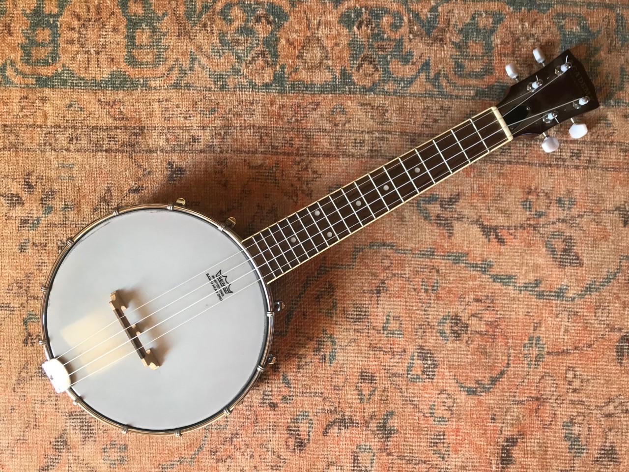 The best uke for clawhammer ? Learn Clawhammer Ukulele